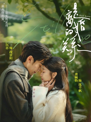 是离婚的关系（67集）短剧更新抢先看