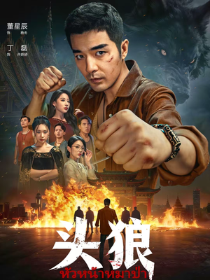 头狼（77集）精彩短剧看全集