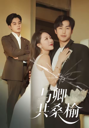 与卿共桑榆（63集）网络小短剧