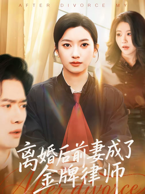 离婚后前妻成了金牌律师（94集）百度网盘资源