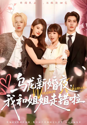 乌龙新婚夜，我和姐姐走错啦（59集）80到100集