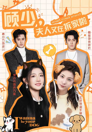 顾少，夫人又在拆家啦（78集）热门短剧来袭