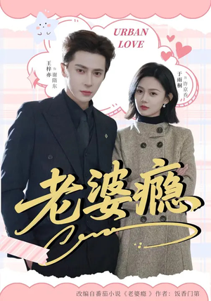 老婆瘾（64集）经典老剧免费看