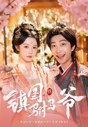 镇国驸马爷（92集）热播短剧重燃