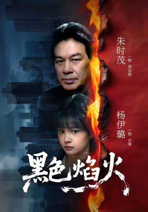 黑色焰火（41集）最火短剧热播