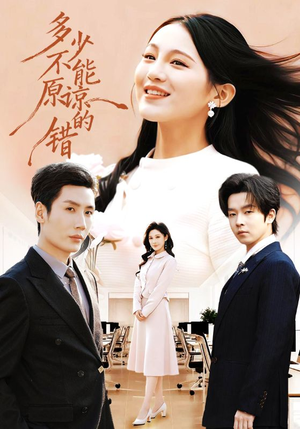 多少不能原谅的错（70集）夸克网盘在线看
