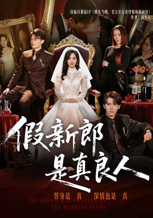 假新郎是真良人（67集）观看软件