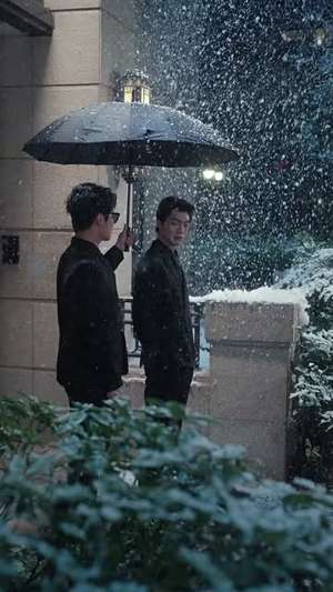 我的遗物，她算一件（55集）全集免费看短剧