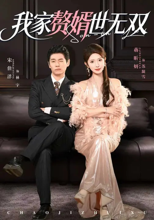 我家赘婿世无双（73集）短剧免费观看