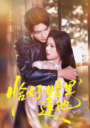 恰好暗里逢他（66集）在线观看