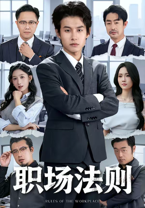 职场法则（79集）番茄免费短剧