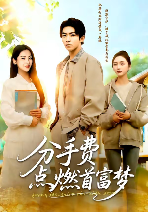 分手费点燃首富梦（80集）我全都看完了