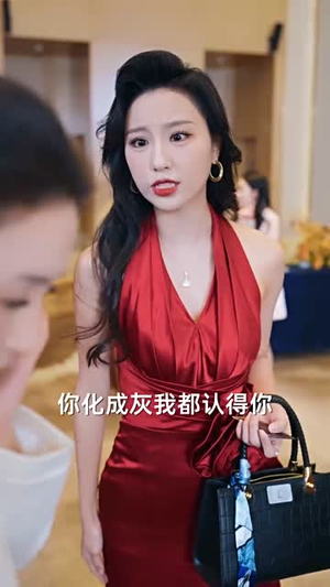 沉沉暮色向林晚（60集）短剧小说在线看