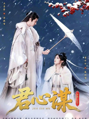 君心谋（80集）更新时间一览表