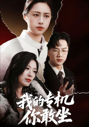 我的专机你敢坐（62集）免费短剧就是爽