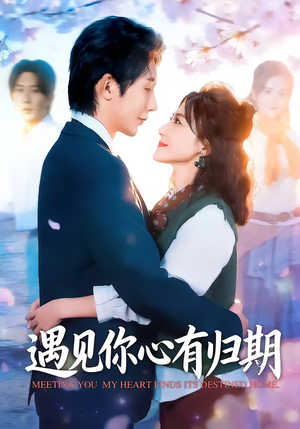 遇见你心有归期（81集）红果免费看短剧