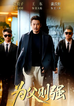 为父则强（70集）热门短剧大全