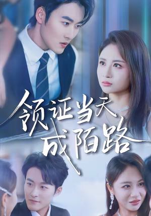 领证当天成陌路（39集）甜宠短剧推荐