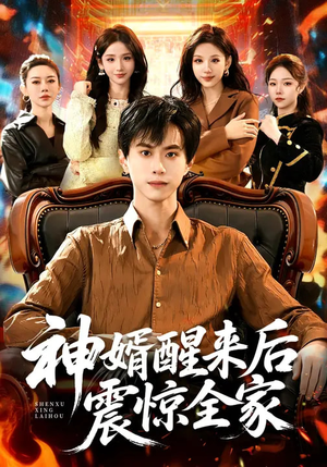 神婿醒来后震惊全家（80集）短剧精彩推荐