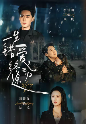 一生错爱，终无归途（74集）免费观看