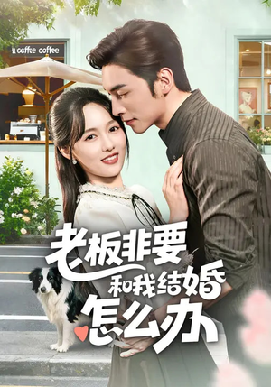 老板非要和我结婚怎么办（50集）免费短剧就是爽