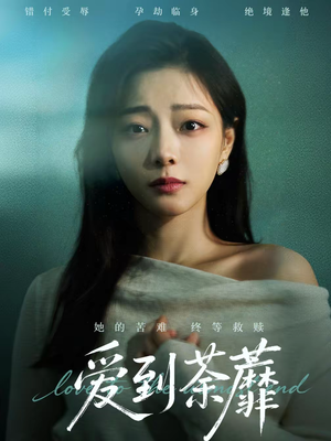 爱到荼蘼（63集）直接追到结尾