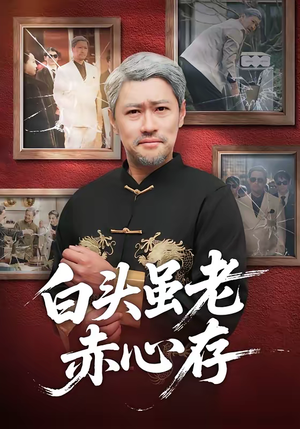 白头虽老赤心存（71集）最新火爆短剧