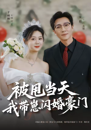 被甩当天我带崽闪婚豪门（70集）男主角是谁