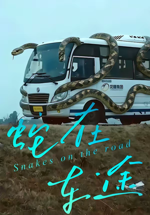 蛇在车途（34集）短剧太好看了