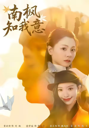 南枫知我意（41集）网络小短剧