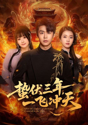 蛰伏三年，一飞冲天（60集）热播短剧全集看