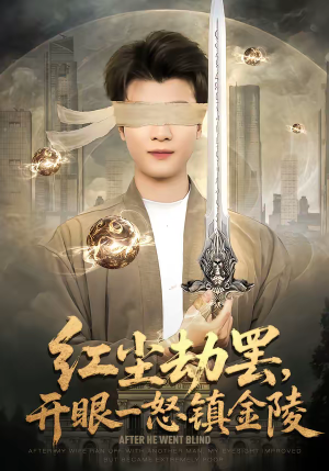 红尘劫罢，开眼一怒镇金陵（81集）免费版