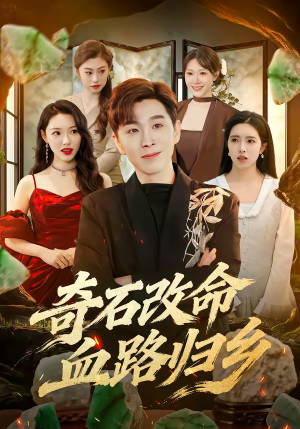 奇石改命血路归乡（81集）免费观看完整版