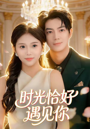 时光恰好遇见你（80集）在哪里可以全集