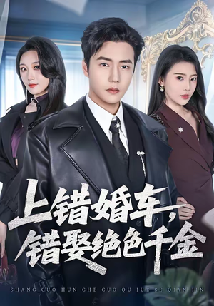 上错婚车，错娶绝色千金（80集）好看的短剧来了