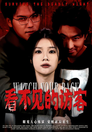 看不见的访客（62集）追短剧看全集