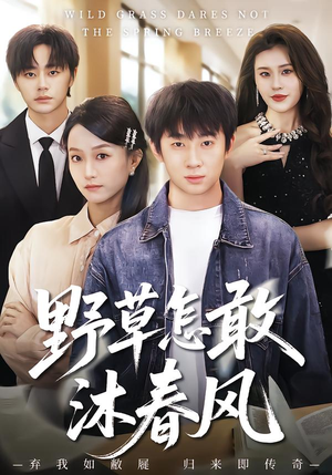 野草怎敢沐春风（61集）全集我都看完了