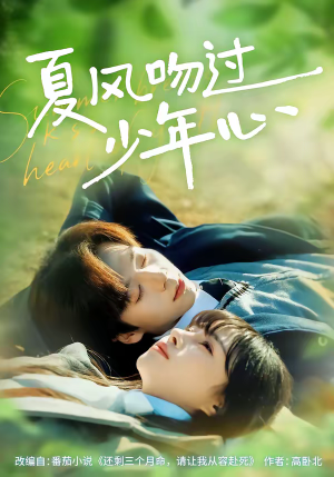 夏风吻过少年心（76集）短剧热门分享