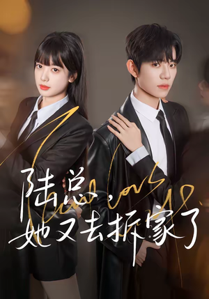 陆总，她又去拆家了（80集）短剧免费看