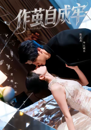 作茧自成牢(52集) 作茧自成牢(52集)80到100集