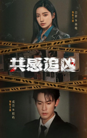 共感追凶（60集）网盘在线观看
