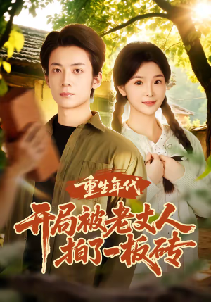 重生年代开局被老丈人拍了一板砖（82集）1-102集