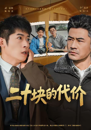 二十块的代价（64集）好看又上头短剧