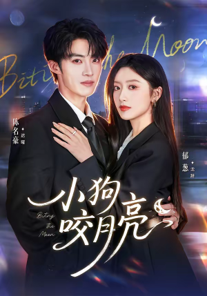 小狗咬月亮（66集）短剧推荐更新中