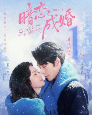 暗恋成婚（60集）短剧在线更新