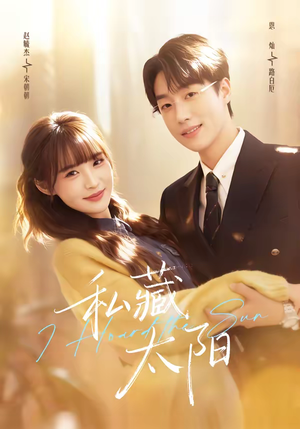 私藏太阳（91集）短剧解说全集