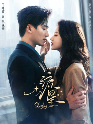 流星（77集）完整版免费观看