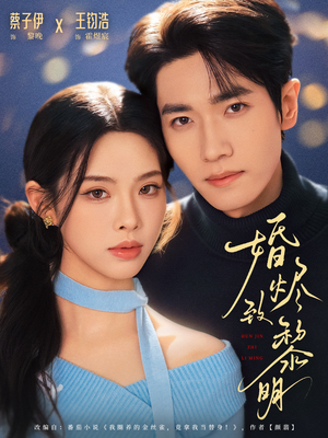 婚烬致黎明（77集）完整版