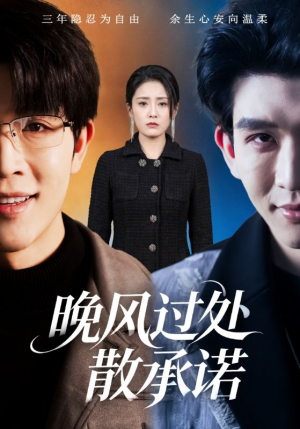 晚风过处散承诺（65集）一口气看完全集