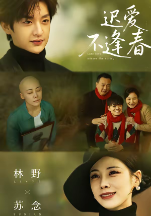 迟爱不逢春（62集）热门短剧排行榜